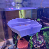 3D Printed Aquarium Feeding Dish - Fish & Shrimp Feeding Tray for Clean and Organized Feeding
