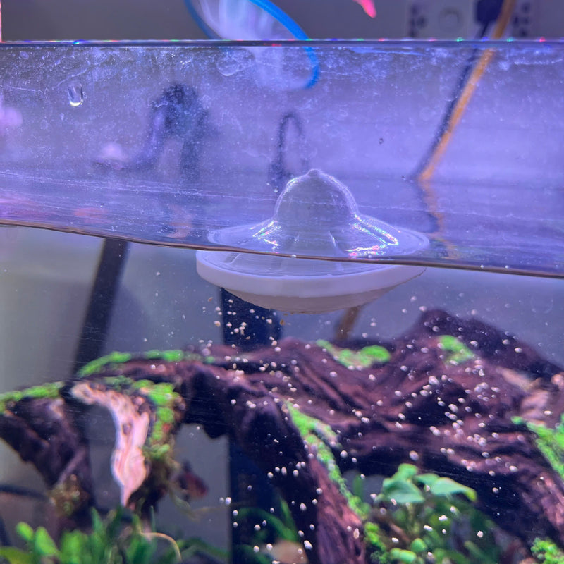 Feed your fish the fun way – with the UFO, Safe Plastic for Aquariums