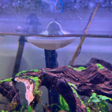 Feed your fish the fun way – with the UFO, Safe Plastic for Aquariums