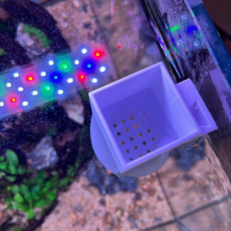 Fish Feeder With Strong Suction Cups - Adjustable Depth - Safe Plastic For Aquariums