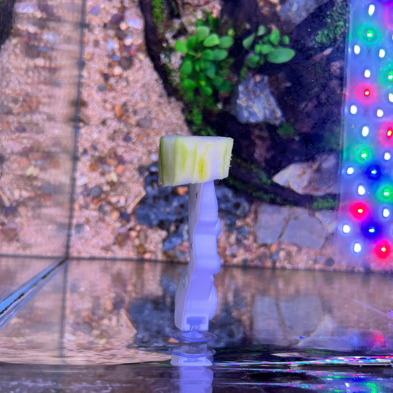 Aquarium Veggie Skewer, Food Holder with Suction Cup (Robot Hand)