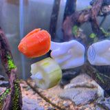 Aquarium Veggie Skewer, Food Holder with Suction Cup (Hand)