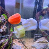 Aquarium Veggie Skewer, Food Holder with Suction Cup (Hand)