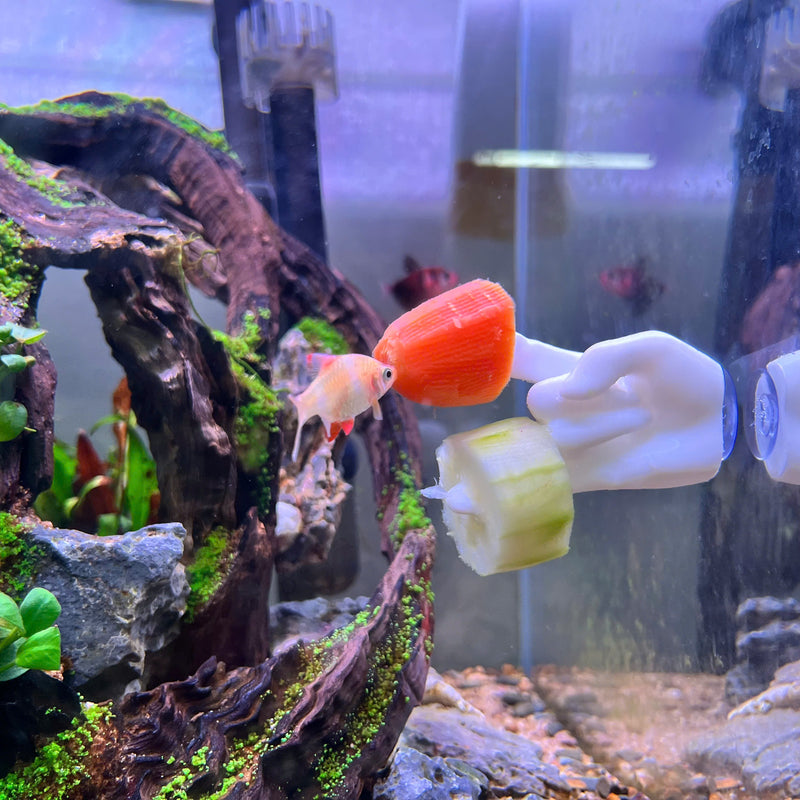 Aquarium Veggie Skewer, Food Holder with Suction Cup (Hand)