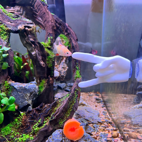 Aquarium Veggie Skewer, Food Holder with Suction Cup (Hand)
