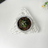 3D Printed Plant Pot Stand, Made from Safe Plastic, Decorative Holder for Planters