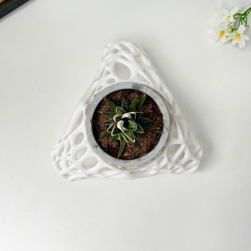 3D Printed Plant Pot Stand, Made from Safe Plastic, Decorative Holder for Planters