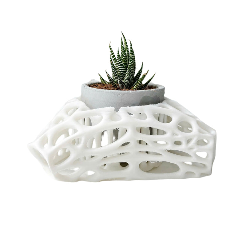 3D Printed Plant Pot Stand, Made from Safe Plastic, Decorative Holder for Planters
