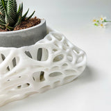 3D Printed Plant Pot Stand, Made from Safe Plastic, Decorative Holder for Planters