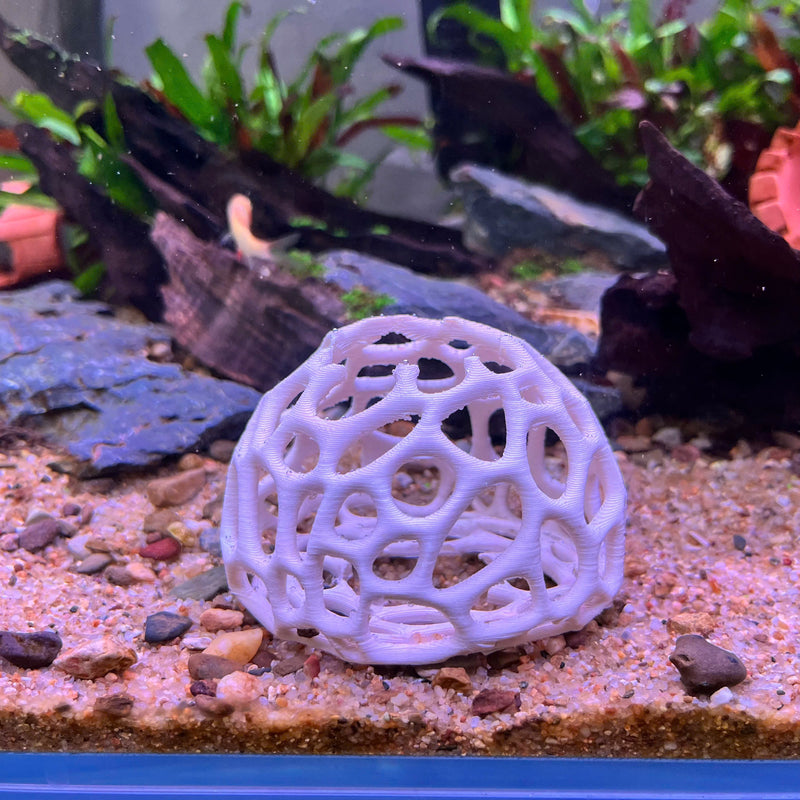 Aquarium Shrimp Dome Decor – Aquarium-Safe Plastic Hideout, Moss Holder, and Shelter for Shrimps