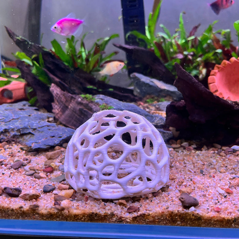 Aquarium Shrimp Dome Decor – Aquarium-Safe Plastic Hideout, Moss Holder, and Shelter for Shrimps