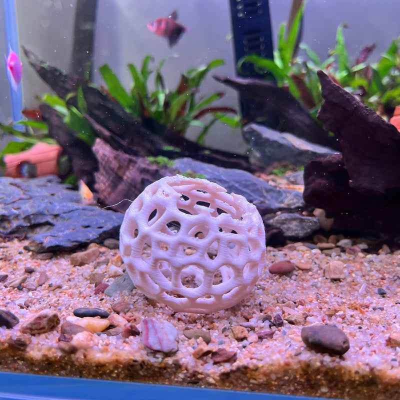Aquarium Shrimp Dome Decor – Aquarium-Safe Plastic Hideout, Moss Holder, and Shelter for Shrimps