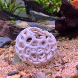 Aquarium Shrimp Dome Decor. Shrimp Home Hide Out, Moss Holder, Aquarium Dome, Aquarium Safe Plastic.
