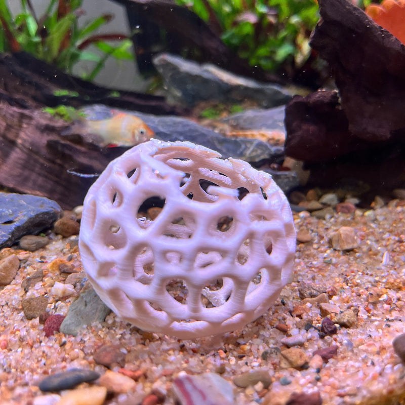 Aquarium Shrimp Dome Decor. Shrimp Home Hide Out, Moss Holder, Aquarium Dome, Aquarium Safe Plastic.