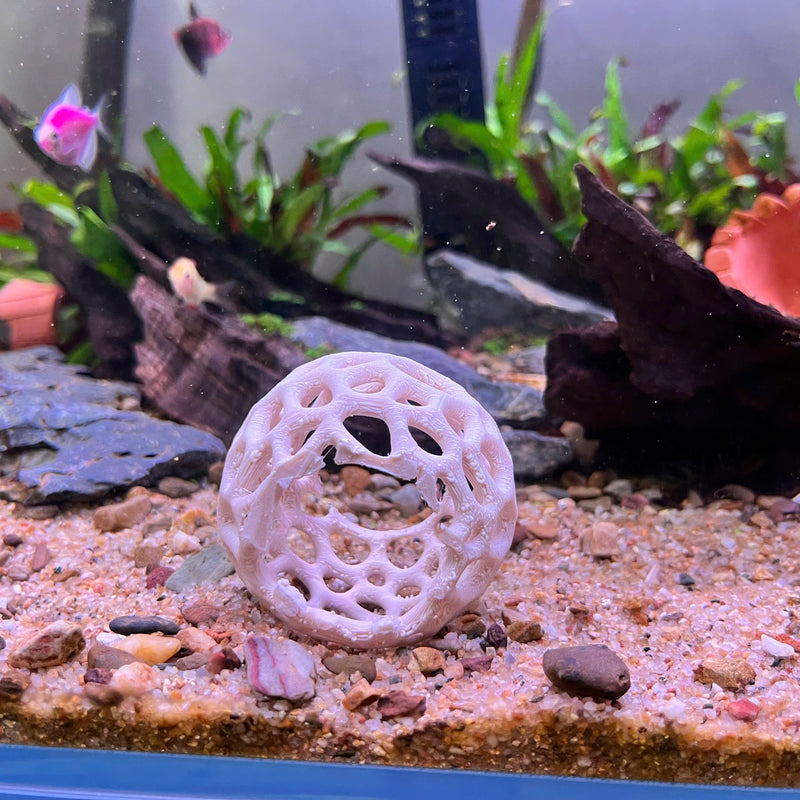 Aquarium Shrimp Dome Decor. Shrimp Home Hide Out, Moss Holder, Aquarium Dome, Aquarium Safe Plastic.