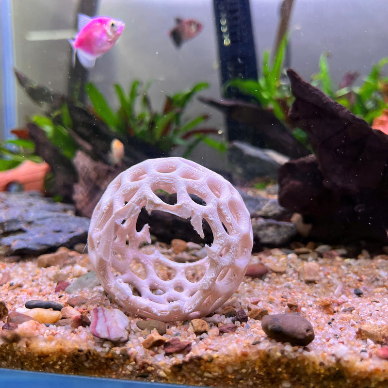 Aquarium Shrimp Dome Decor. Shrimp Home Hide Out, Moss Holder, Aquarium Dome, Aquarium Safe Plastic.