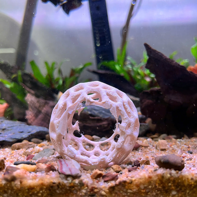 Aquarium Shrimp Dome Decor. Shrimp Home Hide Out, Moss Holder, Aquarium Dome, Aquarium Safe Plastic.