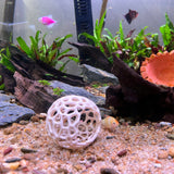 Aquarium Shrimp Dome Decor – Aquarium-Safe Plastic Hideout and Shelter for Shrimps
