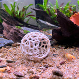 Aquarium Shrimp Dome Decor – Aquarium-Safe Plastic Hideout and Shelter for Shrimps
