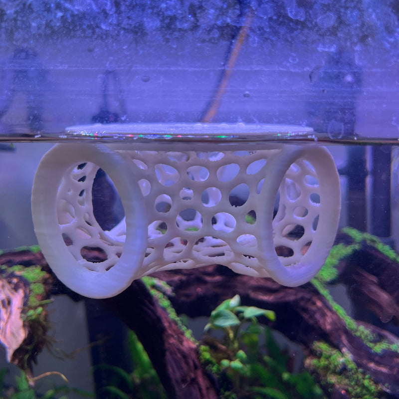 Aquarium Floating Tunnel. Floating Hide For Fish, Safe Plastic For Aquariums