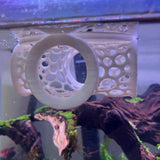 Aquarium Floating Tunnel. Floating Hide For Fish, Safe Plastic For Aquariums
