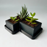3D Printed Letters Planters (LOVE)
