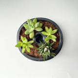 3D Printed Letters Planters (LOVE)