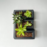 3D Printed Letters Planters (LOVE)