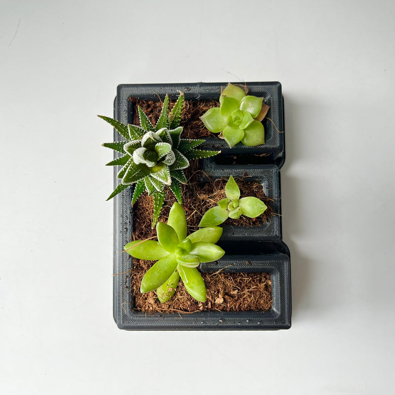 3D Printed Letters Planters (LOVE)