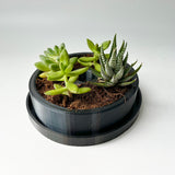 3D Printed Letters Planters (LOVE)