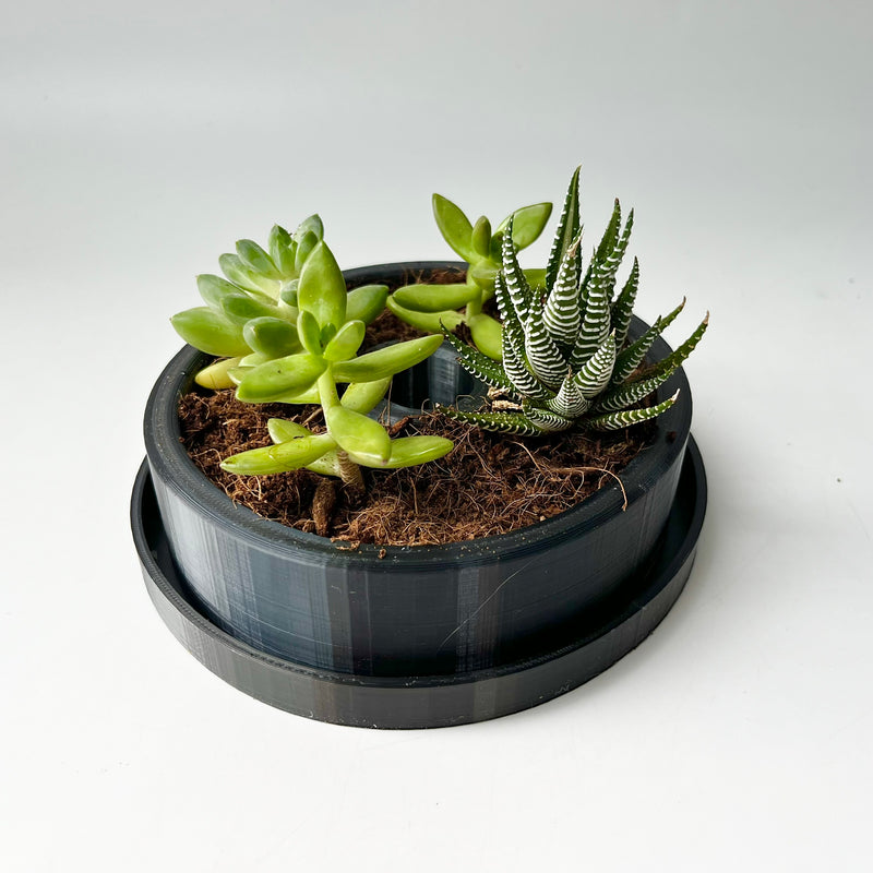 3D Printed Letters Planters (LOVE)