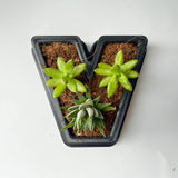 3D Printed Letters Planters (LOVE)
