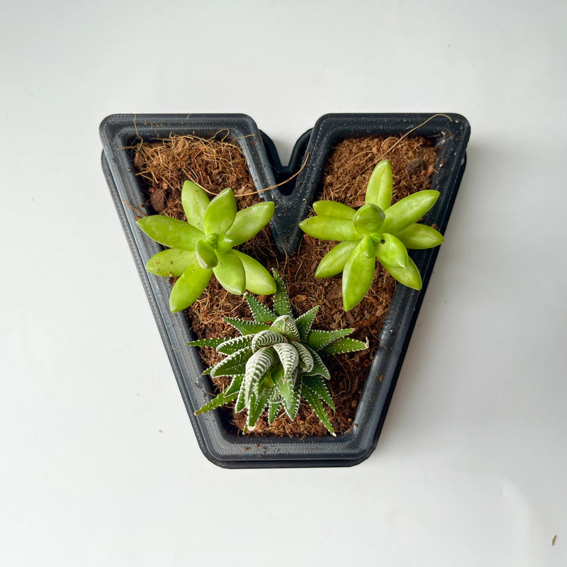 3D Printed Letters Planters (LOVE)