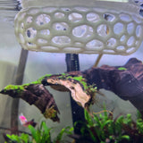 Floating Tunnel For Fish. Floating Hide For Fish, Safe Plastic For Aquariums