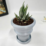 Ice Cream Cone Planter, Tabletop Ice Cream Plant Pot, Summer Patio Art