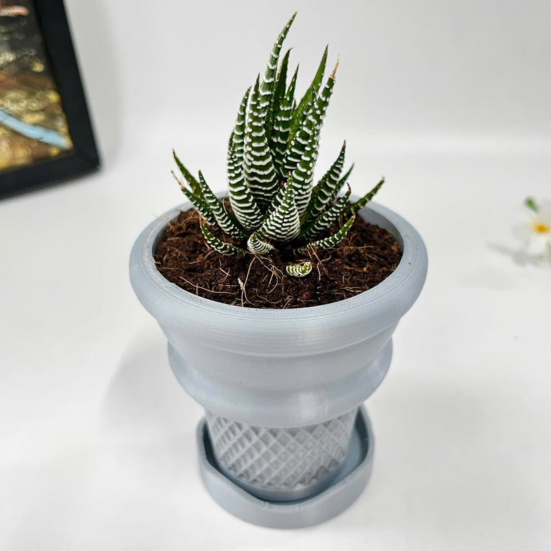 Ice Cream Cone Planter, Tabletop Ice Cream Plant Pot, Summer Patio Art