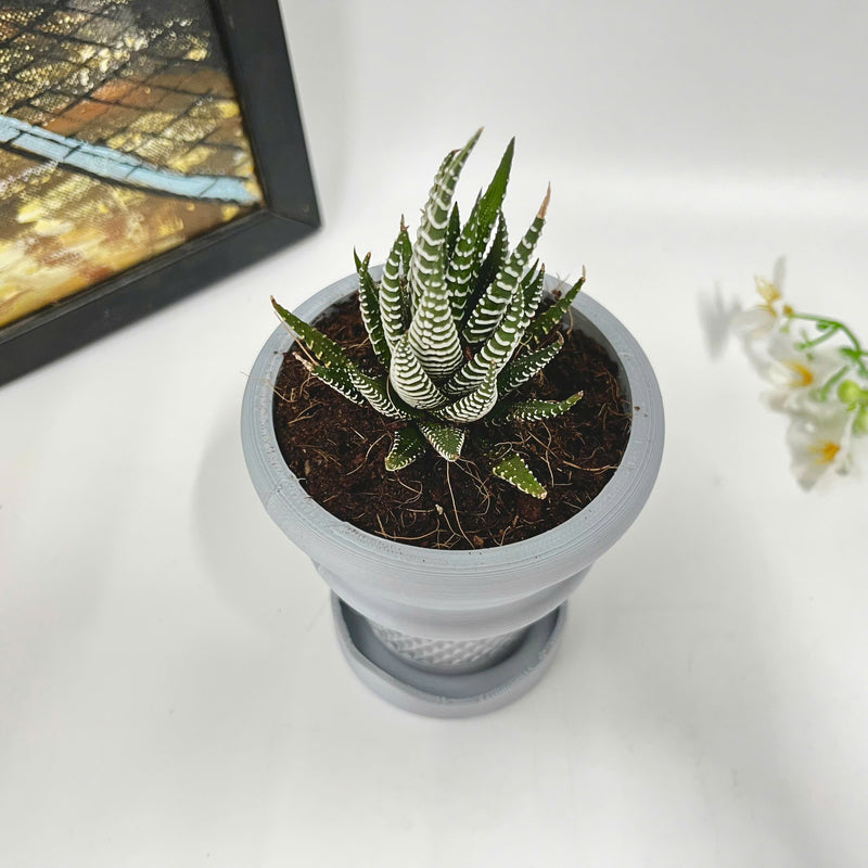 Ice Cream Cone Planter, Tabletop Ice Cream Plant Pot, Summer Patio Art