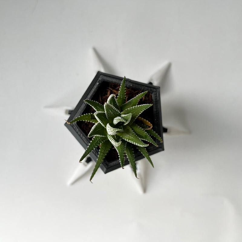 Virus Planter, Pencil Holder Gift, Bacteriophage 3D print Minimalist