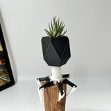 Virus Planter, Pencil Holder Gift, Bacteriophage 3D print Minimalist