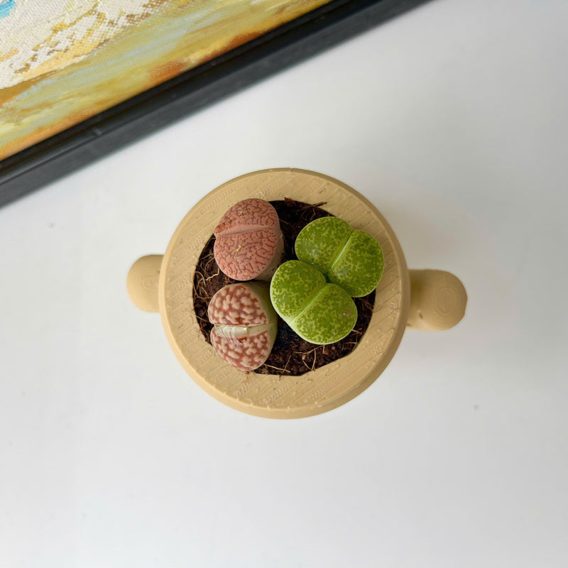 Lloid the Gyroid Planter, Cute Planter Pot