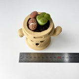 Lloid the Gyroid Planter, Cute Planter Pot