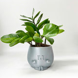 3D - Printed Crying Plant Pot in Gray Plastic