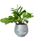 Random 2" Succulent In 3D - Printed Crying Plant Pot in Gray Plastic