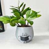 3D - Printed Crying Plant Pot in Gray Plastic