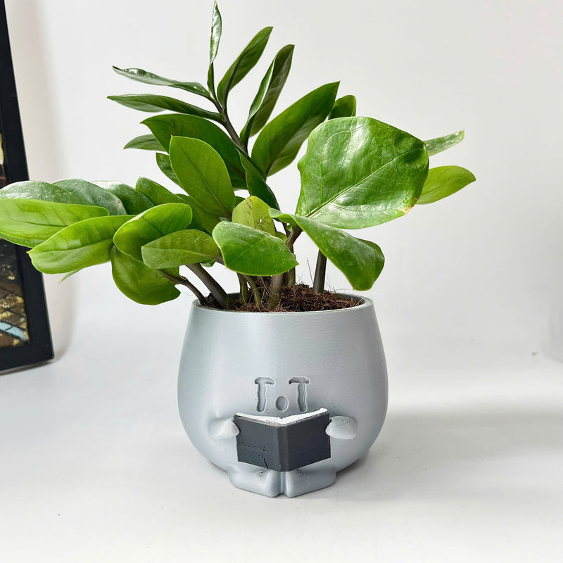 3D - Printed Crying Plant Pot in Gray Plastic