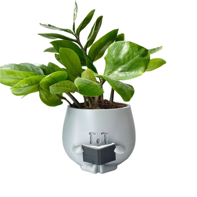 3D - Printed Crying Plant Pot in Gray Plastic