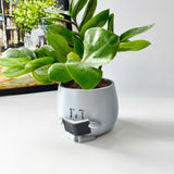 3D - Printed Crying Plant Pot in Gray Plastic