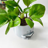 3D - Printed Crying Plant Pot in Gray Plastic
