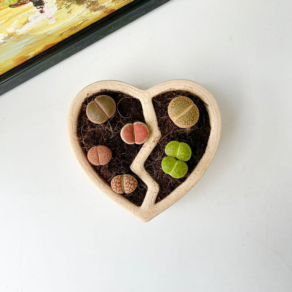3D-Printed Heart-Shaped Plant Pot