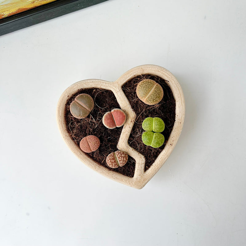 3D-Printed Heart-Shaped Plant Pot